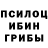Псилоцибиновые грибы Magic Shrooms Dimon schetinkin