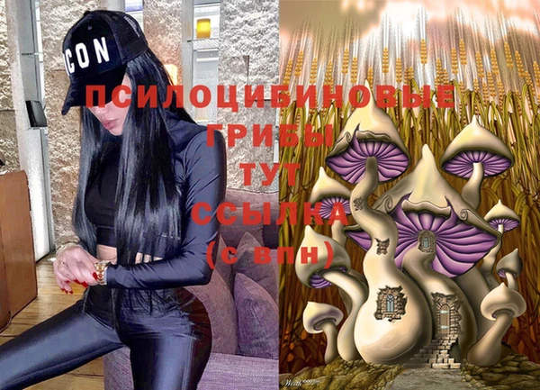 дживик Лихославль